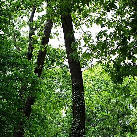 Buitenplaats Petersburg Lodge Arnhem