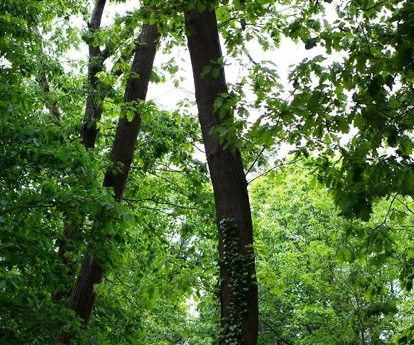 Buitenplaats Petersburg