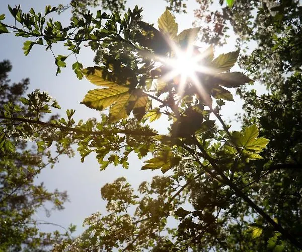 Buitenplaats Petersburg אכסניה ארנהיים