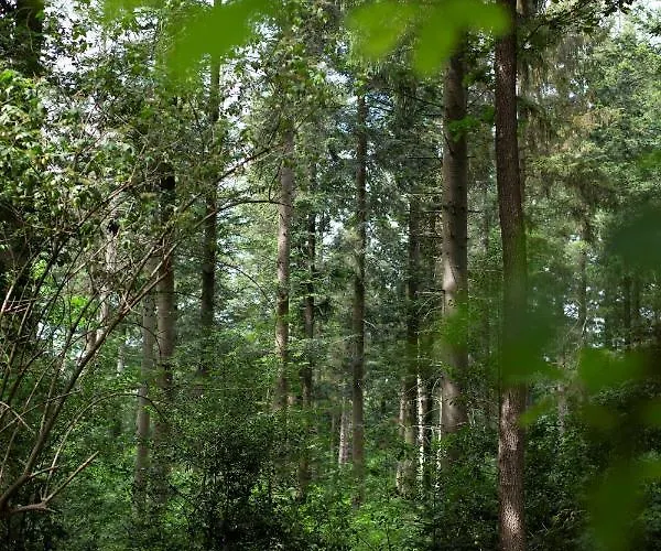 Lodge Buitenplaats Petersburg