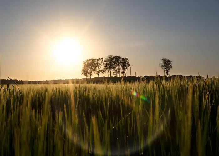 אכסניה Buitenplaats Petersburg *