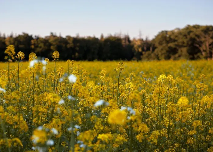 Lodge Buitenplaats Petersburg