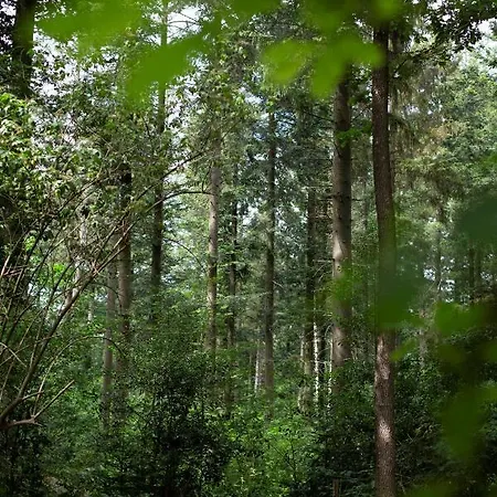 롯지 Buitenplaats Petersburg