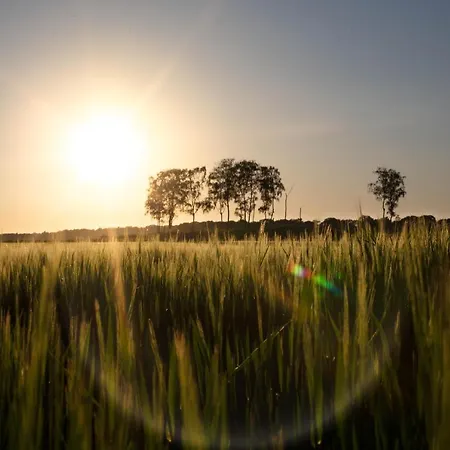 롯지 Buitenplaats Petersburg *