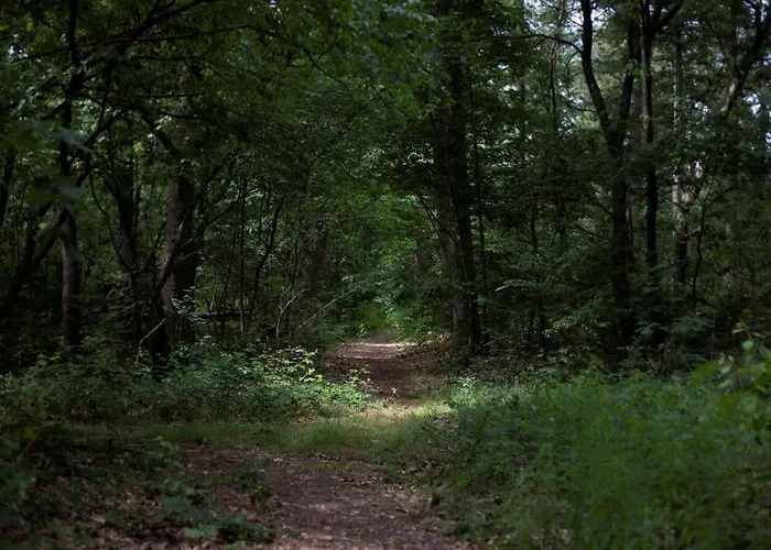 بيت خشبي Buitenplaats Petersburg